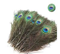 Aatpuss 20 Pièces Plumes de Paon Naturelles, 25-30 Cm Belle Plume de Paon d'Œil, Plume d'Œil de Queue de Paon Ornement, Vraies Plumes de Paon Naturelles Conviennent Pour Les Travaux Manuels