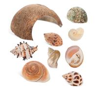 Abaodam 1 Ensemble Abri en Coquille De Noix De Grotte Habitat Reptile Coquilles De Bernard-l'ermite Enceinte Cachette Cacher Coquille De Bernard-l'ermite Conques Conque Naturelle