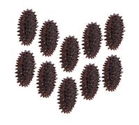 Abaodam 10 Pièces Mini Modèle de Concombres de Mer Réaliste Décoration Petite Accessoire Photo et Alimentaire pour Magasin et Maison