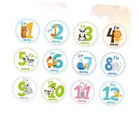 Abaodam 12pièces Autocollants Mois Décalques Pour Garçon Fille Stickers Animaux Cartoons Pour Mémoriser Les Jalons Du Nourrisson Décoration Adorable Et Pratique Pour Fête