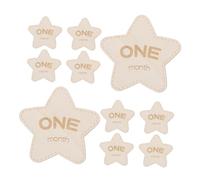 Abaodam 12pièces Cartes Mensuelles Pour Bois Disques Étoile à Double Face Pour Annonce De Naissance Et Photos De Nouveaux-nés Accessoires De Célébration Pour Garçon Et Fille