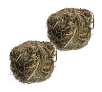 Abaodam 2 Pièces Balle à Mâcher pour et Rongeurs de Dents pour Hamsters Cochons Dinde et Accessoire de Jeu et Portable pour Petits Animaux