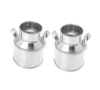 Abaodam 2pièces Mini Seau à Fleurs Métal Pot De Fleurs Vintage Décoration De Micro-Paysage Accessoire Photo Ornement De Bonsaï