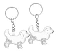 Abaodam 2pièces Porte-clés Poils Animaux Transparent Lot de Porte-clés Souvenirs pour Ranger Les Poils de Chat Chien Boîte de Rangement Portable pour Collection