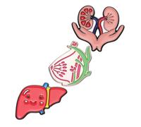 Abaodam 3 pièces Broche Créative Métal Organes Cœur et Poumons Lot de Pins Décoratifs Drôles pour Vêtements Sacs et Sacs à Dos Épingle Fantaisie pour Adultes
