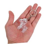 Abaodam 4pièces Boîte Souvenir pour Poils De Chien Rangement Capsule Transparente Collecteur De Poils Animaux avec Porte-clés pour Préserver Souvenirs