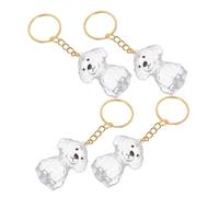 Abaodam 4pièces Porte-clés Poils De Chat Souvenir avec Capsule Transparente Ornement Commémoratif pour Animaux De Compagnie