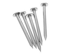 Abaodam 5 pièces Marqueurs Arpentage Robustes Clous Permanents pour Repères de Propriété et Points de Mesure Piquets de Terrain Légers et Réutilisables pour Observations et Contrôle