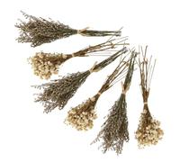 Abaodam 6 Pièces Bouquet de Fleurs Séchées en Plastique, Décoration Intérieure pour Mariage et Fête, Bouquet Créatif de Gypsophile Qui Ne Fane Pas et Ne Gèle Pas Couleur Couleur Aléatoire