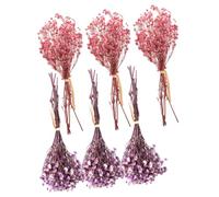 Abaodam 6pcs Bouquet Mini de Fleurs Séchées de Gypsophile, Décoration Mariage Élégante, Fleurs Artificielles Faciles à Assortir pour Salon ou Séance Photo Créative