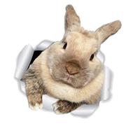 Abaodam Autocollant Mural Lapin Créatif Décoratif pour Chambre Garçon Fille Décorations Murales Réalistes et Adhésives pour Salon et Porte
