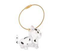 Abaodam Boîte Rangement Poils Chat Transparente Porte-clés Capsule Commémorative Animaux Souvenirs Usage Quotidien Voyage