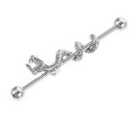 Abaodam Boucle Oreille Dragon Tête Acier Inoxydable Barbell Industrielle Piercing Cartilage Helix Conque Unisexe Ajustement Sûr et Confortable pour Usage Quotidien