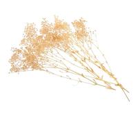 Abaodam Bundle de Gypsophile Séchée Bouquet de Fleurs Décoratives pour Mariage et Décoration de Maison Fleurs Naturelles Éternelles pour Bureau Cadeau ou Fête Blanc
