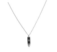 Abaodam Collier Pendentif Urne Funéraire pour Cendres Animaux Inoxydable Collier Commémoratif Chien avec Breloque Empreinte De Patte Bijou Souvenir pour Proches