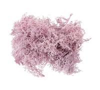 Abaodam Décoration 1 Mousse Fleur Stabilisée Plantes Vertes Modèle Cadre Photo Plastique Violet Décor