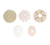 Abaodam Décorations D'oursins pour Aquarium pour Décoration de Bac à Poissons Plusieurs Styles Bords Lisses en Coquillage 5 Pièces Accessoires DIY