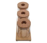 Abaodam Ensemble de 3 Vases Hydroponiques en Verre 8X8 CM avec Couvercle Perforé et Support en Bois Jardinières Transparentes pour Succulentes et Propagation de Plantes Terrariums
