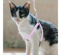 Abaodam Ensemble Harnais et Laisse pour Chat Violet Taille S en Nylon Doux, Harnais Réglable Anti-Fugue, Laisse Longue Flexible pour Promenade Extérieure Sécurisée des Chats