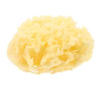 Abaodam Éponge Exfoliante Corps Naturelle en Motif Alvéolé Douce pour Garçon et Filles et Adultes, Boule de Bain en Éponge Kaki, Gommage Délicat pour Peau Sensible
