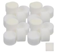 Abaodam Éponge Hydroponique Blanche 100 Pcs pour Culture Hors-Sol, Blocs de Plantation sans Terre 4,5 Cm, Outil Hydroponique pour Semis Légumes et Jardin Intérieur