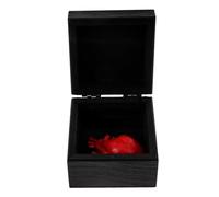 Abaodam Faux Cœur Réaliste Noir pour Halloween Accessoire Décoratif Sanglant en Boîte Modèle de Cœur Humain Effrayant Accessoires pour Maison Hantée et Fêtes D’Épouvante