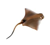 Abaodam Figurine Simulée Petit Poisson Chondrichtyen Marin en Plastique pour Garçon et Filles, Figurines D’Animaux Marins Éducatives et Décoratives, Présent Anniversaire Garçon Fille