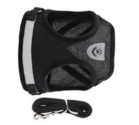 Abaodam Harnais pour Chat de Petite Ensemble Harnais et Laisse Réglable Anti-Fugue Léger et Respirant pour Promenades avec Bande Réfléchissante pour Visibilité Nocturne