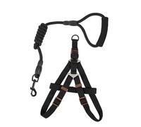 Abaodam Harnais pour Chien Harnais De Promenade Laisse Éducation pour Grands Chiens Kit Accessoires pour Animaux