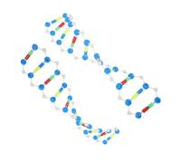 Abaodam Kit de 2 Modèles Moléculaires Adn Double Hélice, Structure Pédagogique Scientifique, Matériel Éducatif pour Cours de Biologie, Outils D’Apprentissage et Vulgarisation