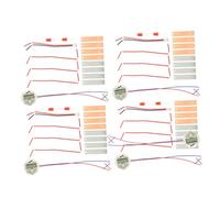 Abaodam Kit Scientifique Piles à Fruits Électrochimiques pour Garçon et Filles, 4 Ensembles, Zinc-cuivre, Expériences Éducatives en Physique, Apprentissage Ludique en Classe et Activités