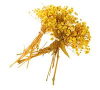 Abaodam Lot de 3 Bouquets de Gypsophile Séché Jaune en Matériau Synthétique, Réalistes Arrosage, pour Décoration de Chambre ou Boutique