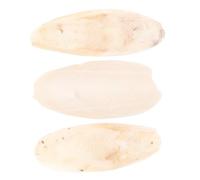 Abaodam Lot De 3 Jouets à Mâcher en Os De Seiche Naturel, Calcium Riche, 8-12 Cm, Suspendus pour Cage Ou Balcon, pour Perroquets Et Petits Oiseaux De Compagnie