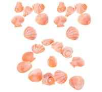 Abaodam Lot de 30 Petits Coquillages Décoratifs pour Et Aquariums Idéal pour Le Remplissage De Et Autres Créations Coquillages Miniatures Orange pour Jardins Féériques