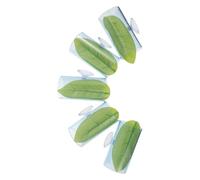 Abaodam Lot de 5 Tunnels Abri pour Aquarium en Acrylique Transparent de Feuille Cachette et Lieu de Repos pour Poissons Betta Décoration Minimaliste Adaptée à L’Élevage et à la Ponte