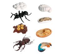 Abaodam Lot de 8 Modèles D’évolution de Fourmis Ouvrières en Plastique Léger, Figurines Éducatives Illustrant Le Cycle de Croissance, Jeu D’Apprentissage Scientifique pour Garçon et