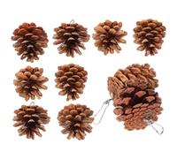 Abaodam Mâcher pour Oiseaux Naturel en 10 Pièces Pratique et Portable en Pomme de Pin Marron Suspendu pour Cage à Oiseaux pour Perroquets