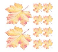 Abaodam Marque-pages Design Réaliste en Acrylique Lot de 10 Rouge Forme Feuille D'érable Bords Lisses pour Décor de Bureau et Usage Scolaire