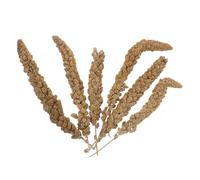 Abaodam Millet Séché pour Perruches et Oiseaux Exotiques - Épis de Millet Jaune 500 G - Friandises Riches en Nutriments pour Entraînement, Alimentaire et Stimulation en Cage