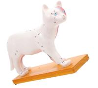 Abaodam Modèle Anatomique du Chat en Pvc pour Étude D'acupuncture et Enseignement Vétérinaire, Outil Éducatif pour Étudiants et Professeurs en Anatomie Féline