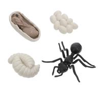 Abaodam Modèle Réaliste de Cycle de Vie des Fourmis Ouvrières 4 Pièces en Plastique Éducatif Petite Enfance Figurines Pédagogiques pour Apprentissage Naturel et Décoration