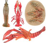 Abaodam Modèles Éducatifs de Homard pour Garçon et Filles en Plastique Sûr, Ensemble de 4 Figurines Réalistes du Cycle de Croissance, Jouets Cognitifs pour Apprentissage Scientifique