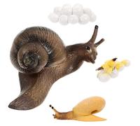 Abaodam Modèles Figurines du Cycle de Croissance D'escargot 4 Pièces en PVC Réaliste, Éducatif Scientifique pour Garçon et Filles, Découverte Nature et Apprentissage du Développement