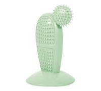Abaodam Mordre pour Chien Cactus, Résistant, TPR, Maison | Usage Domestique, pour Chiots en Dentition, Aide à Canaliser L’énergie, Protège les Dents