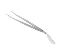 Abaodam Outils de Toilettage pour Acier Inoxydable avec Pincettes et Spatule Outils de Jardinage pour Entretien Plantes