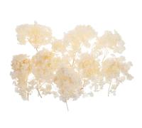 Abaodam Pétales de Fleurs Séchées Centre de Table Vintage Beige Fleurs Stabilisées Naturelles pour Décoration Mariage Élégante pour Maison et Jardin