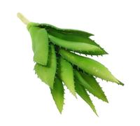Abaodam Plante Artificielle Vivid Faux pour Décoration Intérieure Plante de Fausse Aloe Vera Durable et Réaliste pour Bureau et Maison