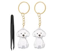 Abaodam Porte-clés Boîte Souvenir Poils Animaux Transparent Porte-Bijoux Commémoratif Chien et Chiot Boîte de Rangement Cheveux de Chien Accessoire de Mémoire Portable