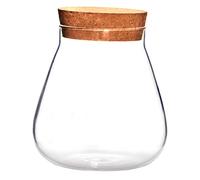 Abaodam Pot De Présentation Verre Transparent à Bulles Bouchon Liège Bonbonnière pour Loisirs Créatifs Plantes Ou Décorations Intérieur