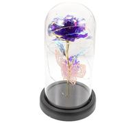 Abaodam Préservée Verre Décoration De Bureau pour Saint Valentin Et Noël